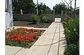 Семейный пансионат Arsa Румыния